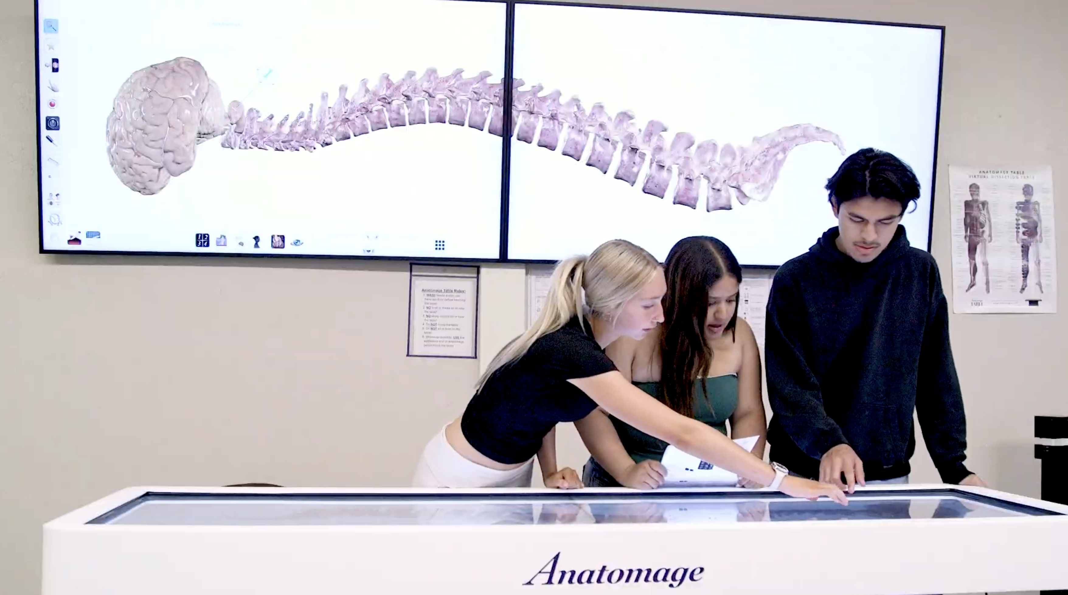 Hollister High School students work in class on a life-sized 3D anatomy visualization and virtual dissection table.